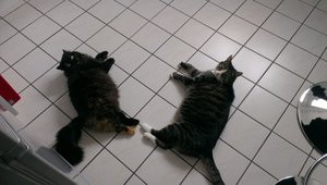 2013-03-17 12.44.50.jpg