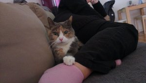 2013-03-30 13.01.11.jpg