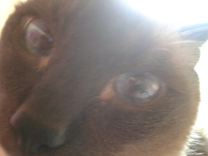 2013-08-23 14.30.42.jpg