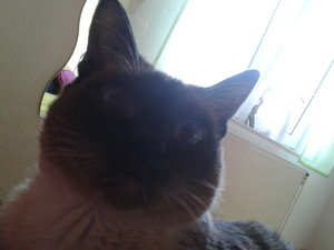 2013-08-23 14.31.48.jpg 2013-08-23 14.31.48.jpg