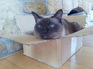 20131014_115355.jpg 20131014_115355.jpg