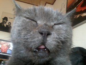 2013-07-04 19.18.00.jpg