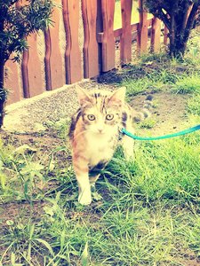 handy bilder 1070.jpg