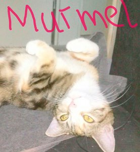 handy bilder 1068.jpg