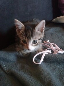 handy bilder 1062.jpg