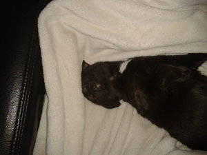 2013-09-17 15.04.30.jpg