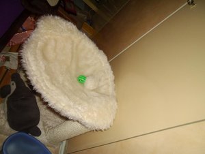 henrys liegemulde.JPG