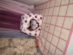 höhle in der küche.JPG