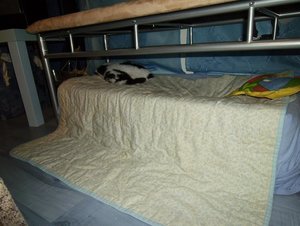 lieblingsplatz an der heizung.JPG