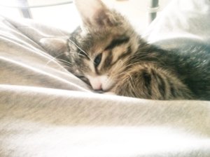 handy bilder 1120.jpg