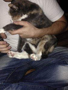 2013-11-09 09.04.17.jpg