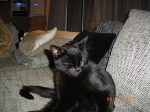 IMGP1826 (800x600) (800x600).jpg