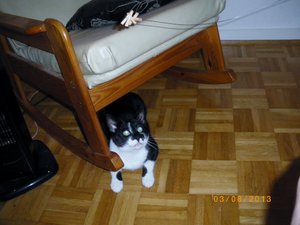 IMGP2627 (1024x767).jpg