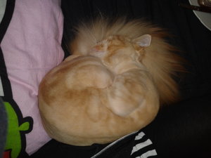 2013-10-13 17.33.26.jpg