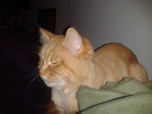 2013-11-02 13.23.49.jpg