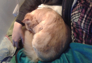 2013-11-07 19.48.jpg