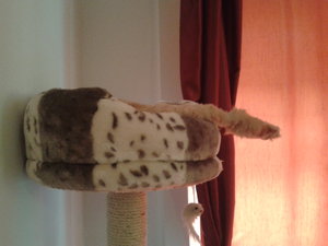 2013-11-13 13.08.32.jpg