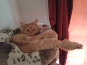 2013-11-13 13.09.30.jpg