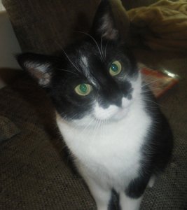 IMGP3155 (910x1024).jpg