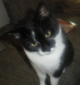 IMGP3156 (957x1024).jpg