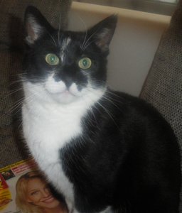 IMGP3158 (873x1024).jpg