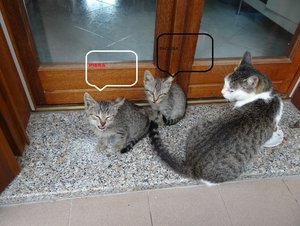 Piera+Paolina+Mama Prisca.jpg