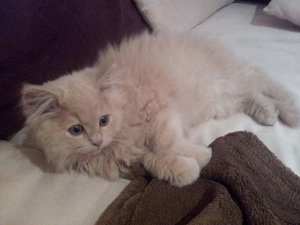 2013-11-09 20.16.42.jpg