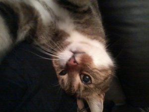 2012-01-31 20.54.17.jpg