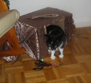 IMGP3198 (1024x939).jpg