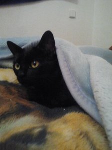 2013-10-20 21.44.09.jpg