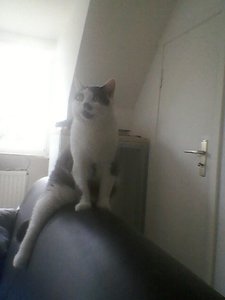 2013-08-08 12.09.21.jpg