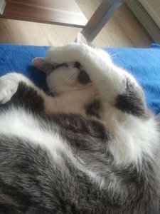 2013-06-21 14.22.58.jpg