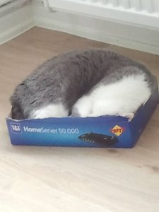 2013-06-21 17.55.49.jpg