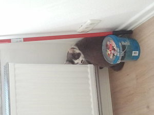 2013-09-05 13.44.05.jpg