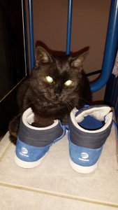 Farah meine Schuhe verkleinert.jpg