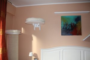 katzenwand1.jpg
