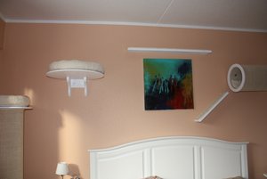 katzenwand2.jpg