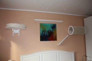 katzenwand3.jpg