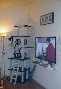 IMGP3307 (702x1024).jpg