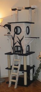 IMGP3306 (457x1024).jpg