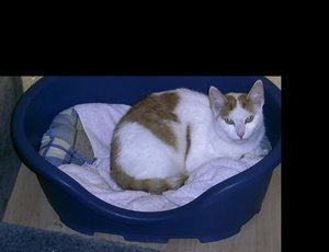 Timmi 1- bearbeitet . jpg.jpg