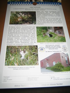 Kalender 2014 002.JPG