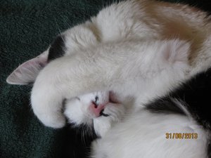 Nele Augen zuhalten.jpg