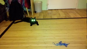 2010-10-07_22-44-13_806 (2).jpg