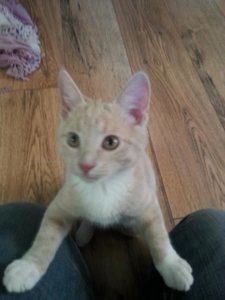 samsungbilder 259.jpg