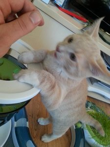 samsungbilder 258.jpg