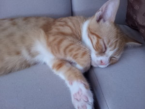 2013-08-21 12.39.29.jpg