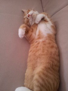 2013-08-22 12.51.37.jpg