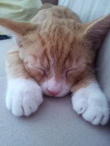 2013-08-28 14.43.28.jpg