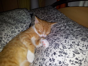 2013-09-06 23.15.15.jpg